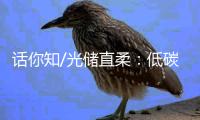 话你知/光储直柔：低碳建筑秘籍