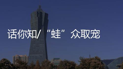 视频很快在网上火了起来