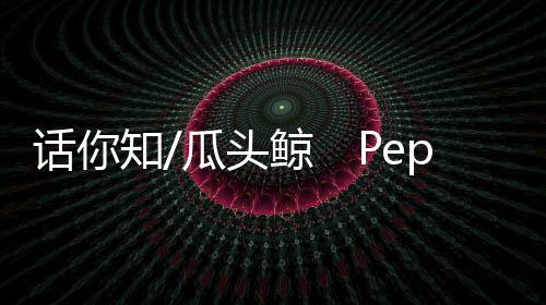 大洋性的话知岛屿周边可见