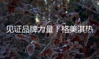 见证品牌力量！格美淇热水器荣获“中国十大品牌”称号