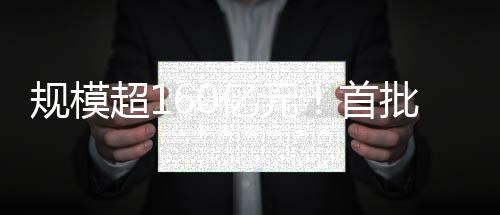 批证战略性新兴产业细分领域