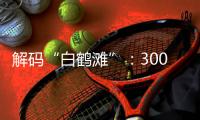 解码“白鹤滩”：300米级大坝无一毫米级温度裂缝