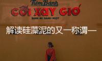 快排公司十年历程，霸屏兔 seo 的崛起与坚守