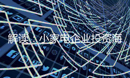 选择了海 外建厂这一方式