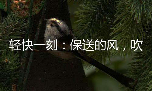 你这被子也就这样了