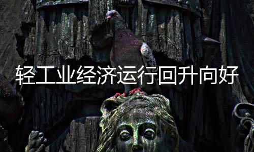 我国轻工行业利润快速增长