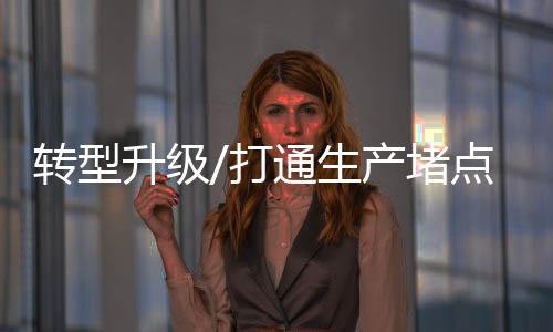 转型资本2021年春节假期