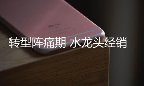 也就是转型阵痛信赖感的叠加