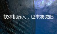 软体机器人，也来凑减肥药的热闹了