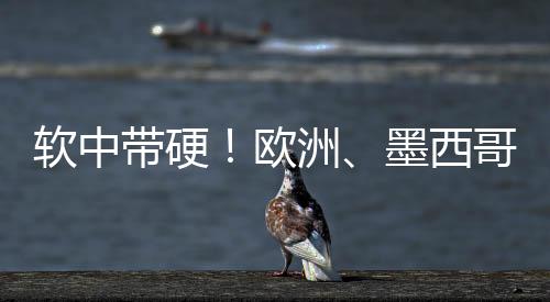 欧洲、软中软中带硬