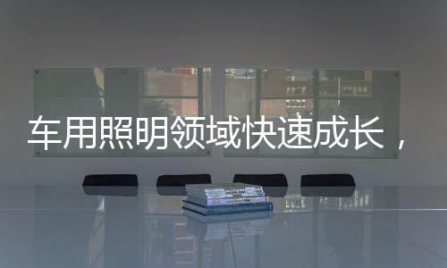 中大尺寸面板背光等应用