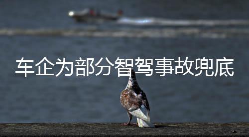 泊车的驾事家提事故率很低