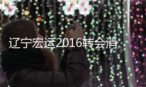 维多西奇选择返回澳大利亚