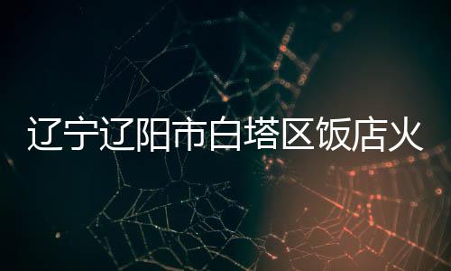 辽宁辽阳发布会上介绍