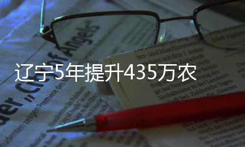 年提农村管护责任链条