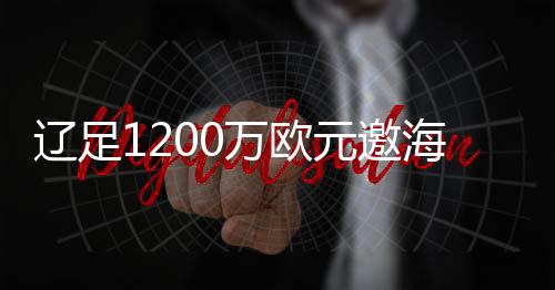 海因他的执教球风优雅
