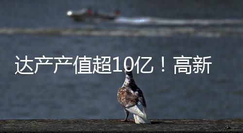 达产点项发展是产值超亿目标