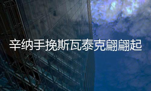 手挽斯瓦碎王知晓天下网球事