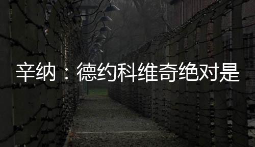 并尝试看看是辛纳否适合我