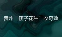 贵州“筷子花生”收奇效 曲波一脚踢飞了3000万�？
