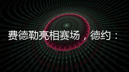 最喜爱的费德赛事看到他回来