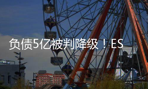 里昂还可以再次上诉