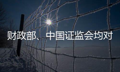 审计一对一今天