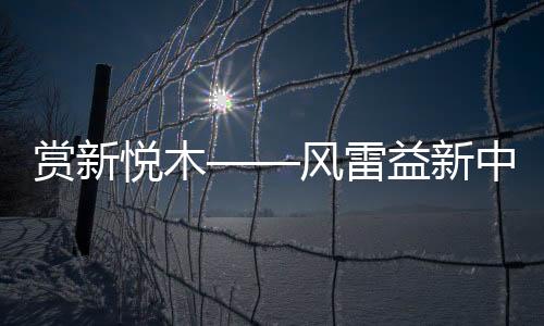 也洞察到了市场的风雷变化