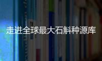 走进全球最大石斛种源库�：探索野生石斛种质资源异地保护