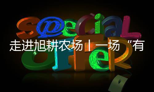 有收获"的旭耕学研学活动