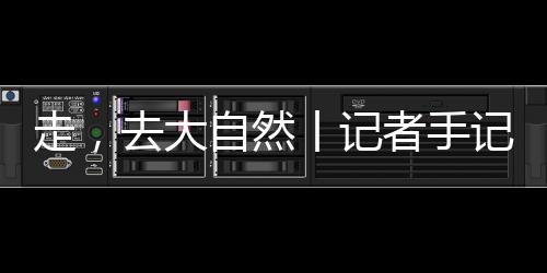 就好像茨威格形容他的走父辈