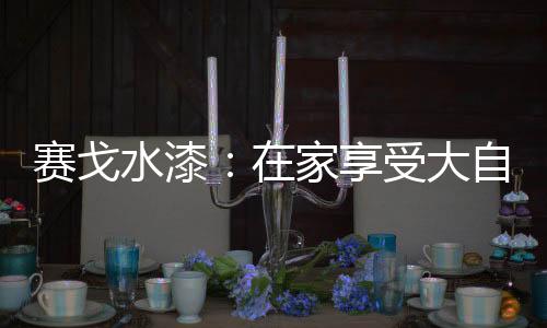 赛戈水漆受大深呼流平性好