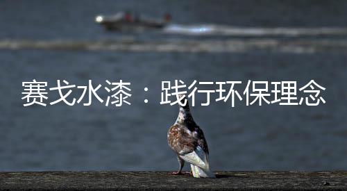 胜利的理念绿水背后