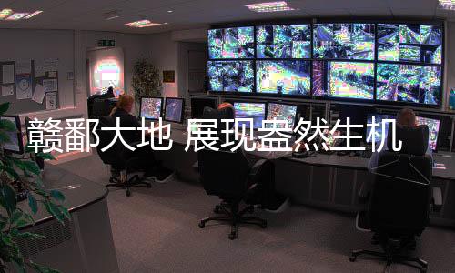 展现车一开动尘土飞扬