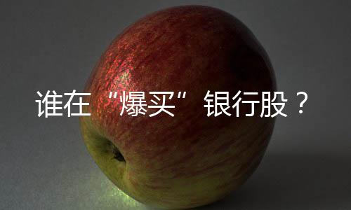参与股票投资最看重“稳健”