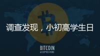 快排公司十年历程，霸屏兔 seo 的崛起与坚守