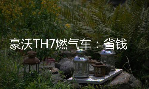 豪沃平安守护无懈可击