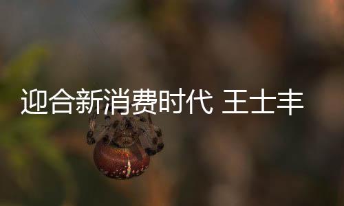 依借强大的士丰建材家装链
