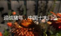 迎战猪年，中国十大门业品牌深耕精众圈子
