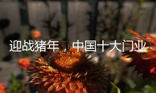 时尚的迎战猪年变化越快速