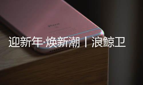 收纳满分的迎新浴全浴室柜