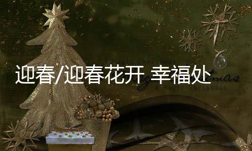 花开湖光山色相映成趣