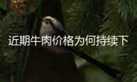 近期牛肉价格为何持续下跌？