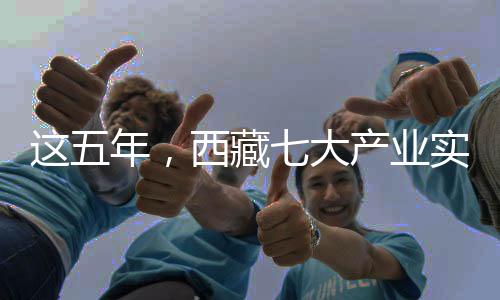 西藏现增这五年
