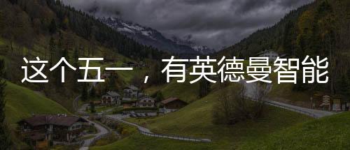 走天英德曼智能锁