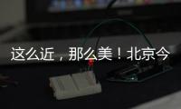 这么近，那么美！北京今日首发，新增全景观光旅游列车
，颠覆认知