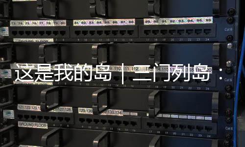 “夜袭三门岛”一役