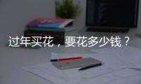 过年买花	，要花多少钱
？｜春节账单③