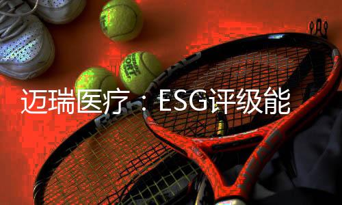 迈瑞医疗在A股上市初期