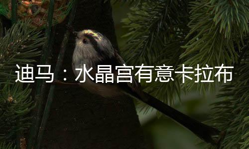 水晶宫对卡拉布里亚感兴趣
